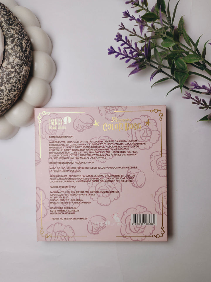 trendy color rosa pallet